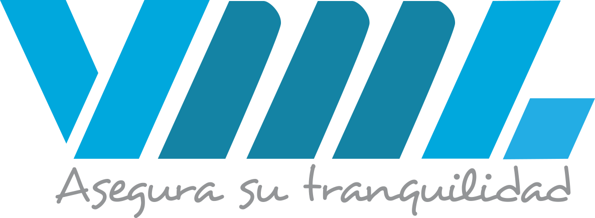 logo_Holding